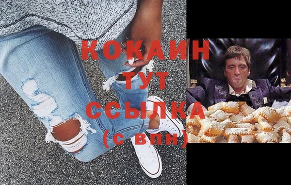 ECSTASY Алзамай