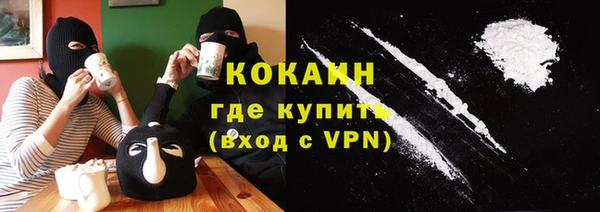 ECSTASY Алзамай