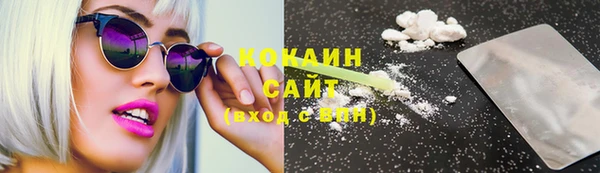 ECSTASY Алзамай
