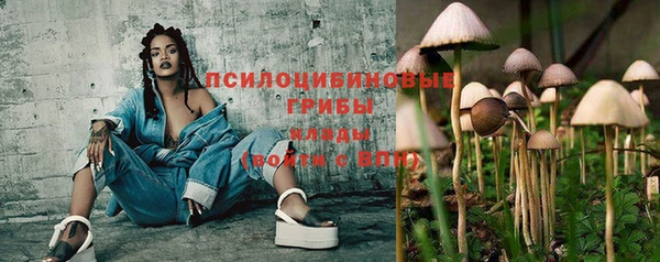 стаф Абдулино