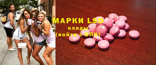 ECSTASY Алзамай