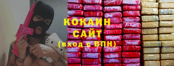 ECSTASY Алзамай