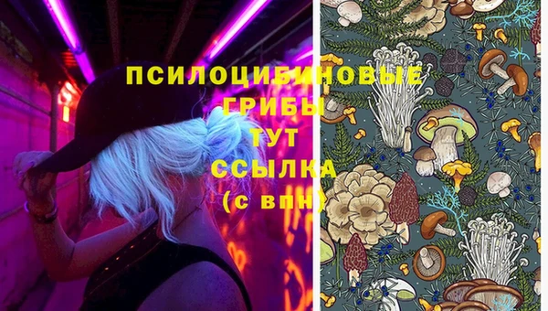 скорость Алексин
