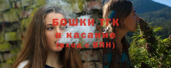 твердый Болотное
