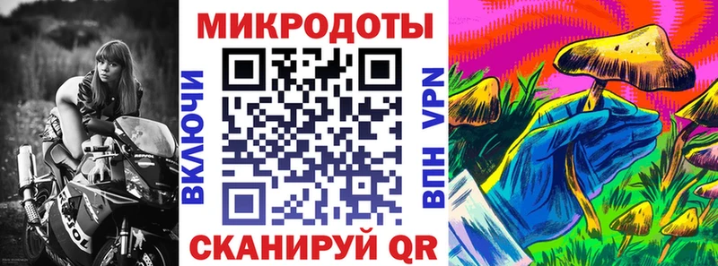 Псилоцибиновые грибы GOLDEN TEACHER  купить наркоту  Дмитриев 